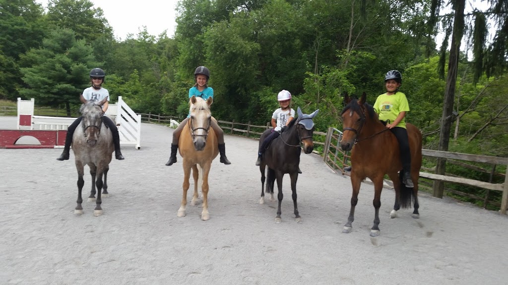 Spring Valley Stables Inc | 212 Warrendale Rd, Mars, PA 16046, USA | Phone: (724) 625-9003