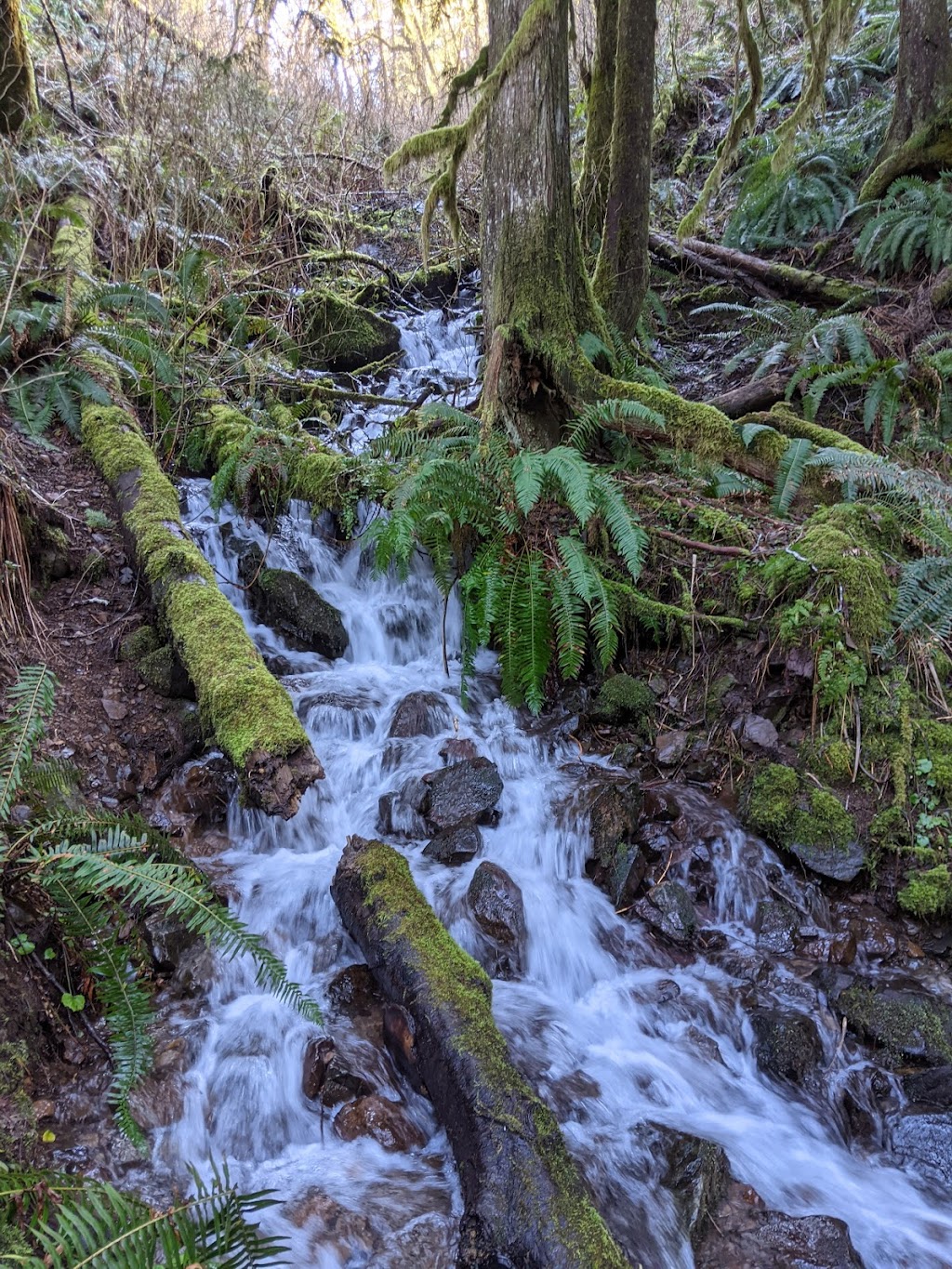 Moulton Falls Regional Park | 27781 NE Lucia Falls Rd, Yacolt, WA 98675, USA | Phone: (564) 397-2285