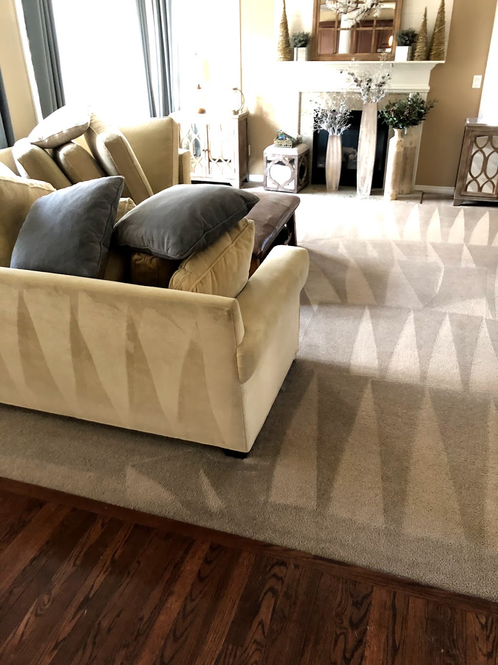 Selective Carpet Cleaning | 34424 Hazelwood St, Westland, MI 48186, USA | Phone: (734) 453-8007