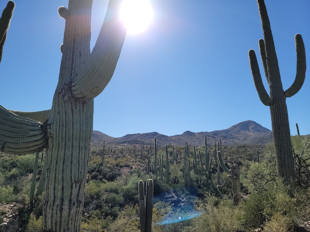 Sadie Acres Ranch | 12850 S Tila Rd, Tucson, AZ 85735, USA | Phone: (520) 975-6578