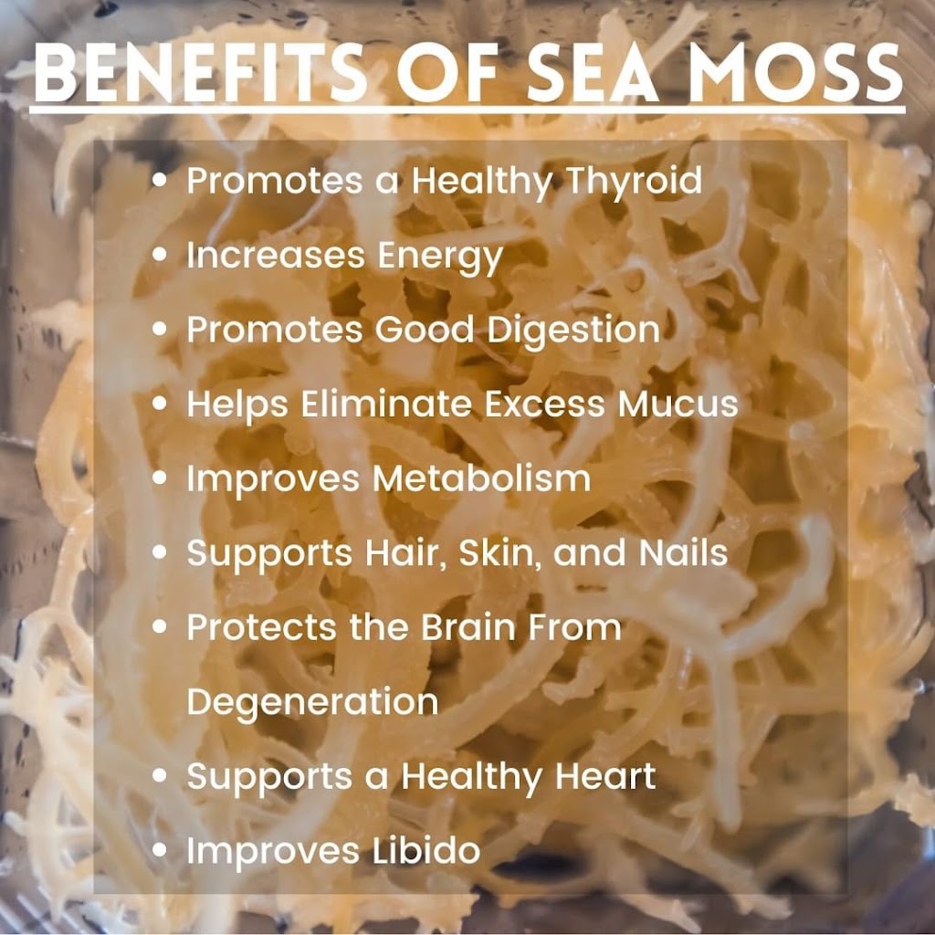 Maximoss Sea Moss Gel | 313 Delmonico St NE, Palm Bay, FL 32907, USA | Phone: (321) 987-2787