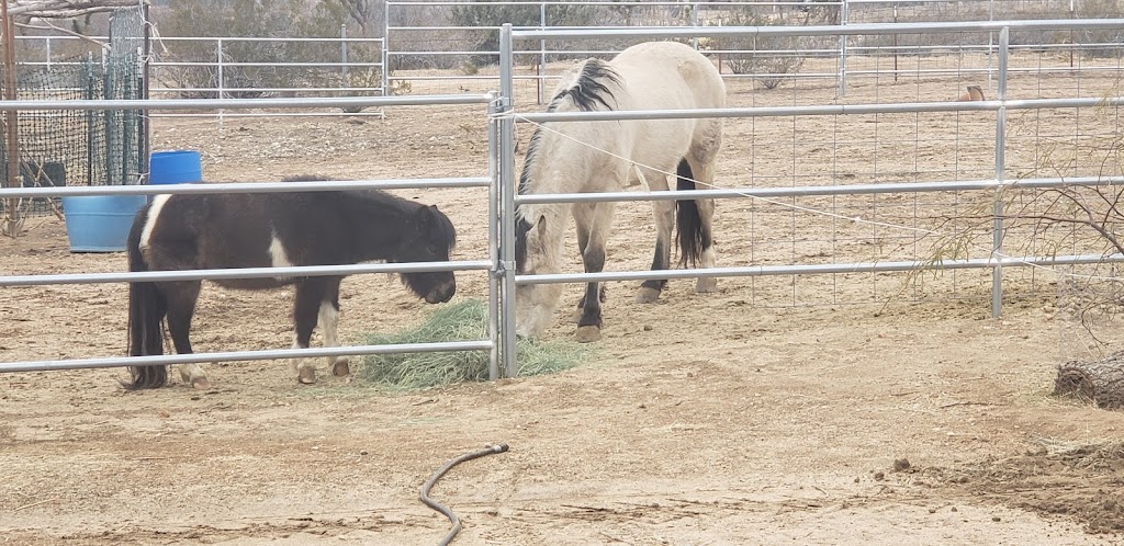 Apple Valley Feed Bin | 21942 Bear Valley Rd, Apple Valley, CA 92308, USA | Phone: (760) 247-9595