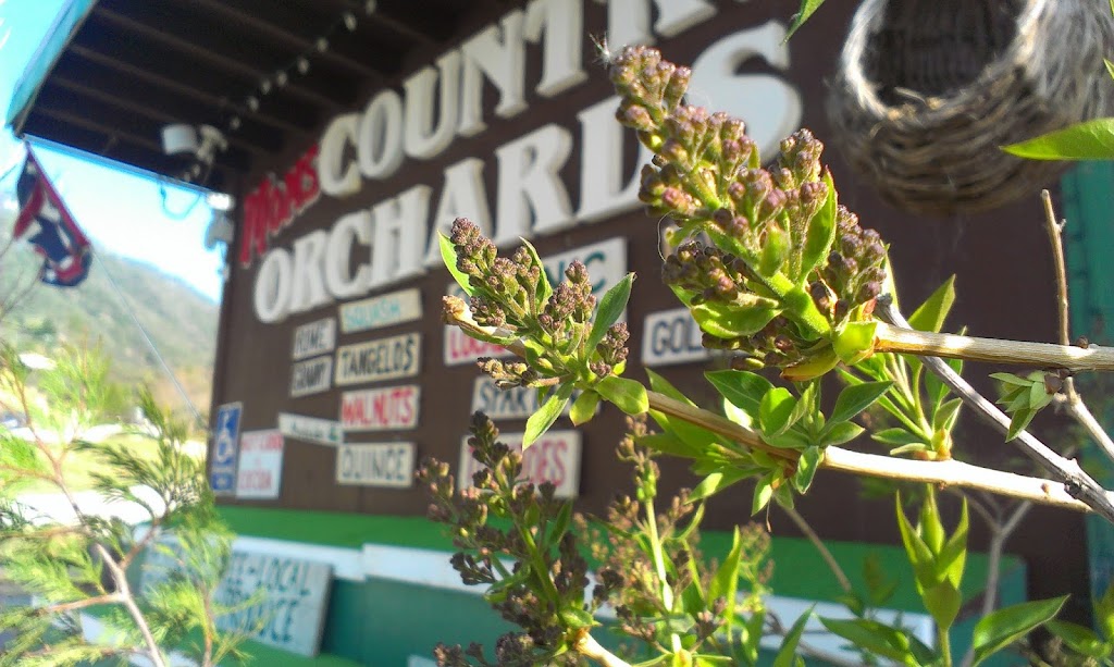 Moms Country Orchards | 38695 Oak Glen Rd, Yucaipa, CA 92399, USA | Phone: (909) 797-4249