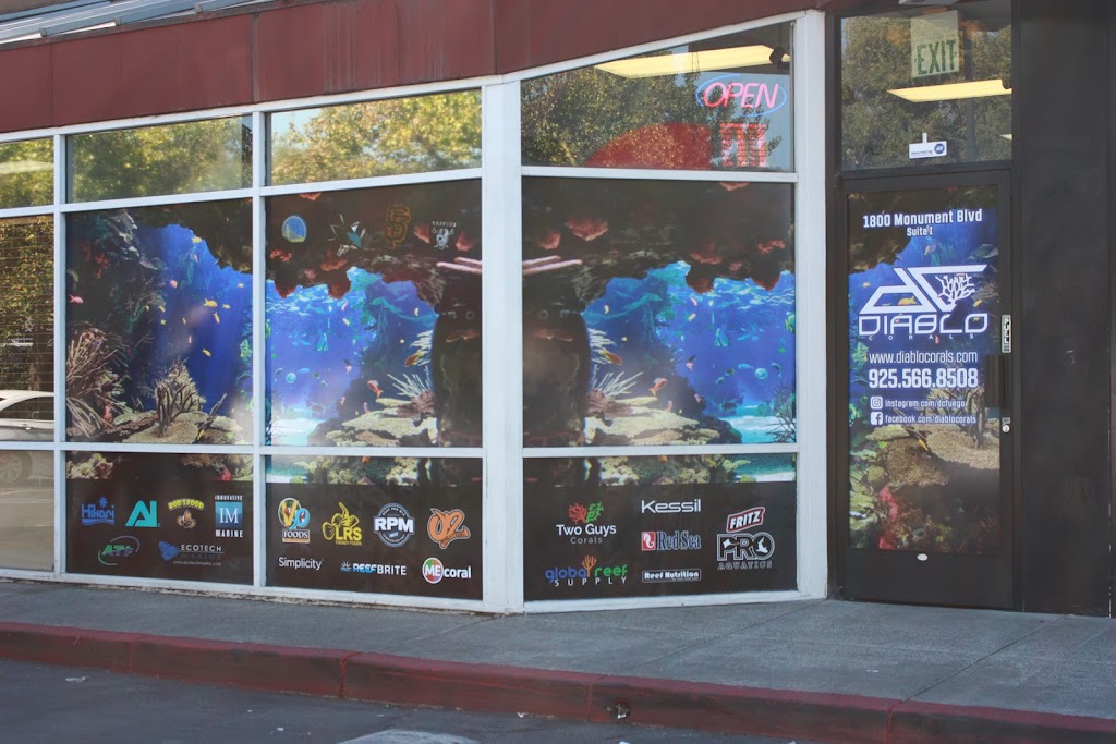 02Creation | 950 Comstock St, Santa Clara, CA 95054, USA | Phone: (408) 634-3202