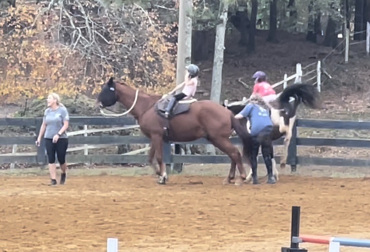 Sky Creek Farm and Ride with Heid | 3671 N Cook Rd, Powder Springs, GA 30127, USA | Phone: (404) 610-5045