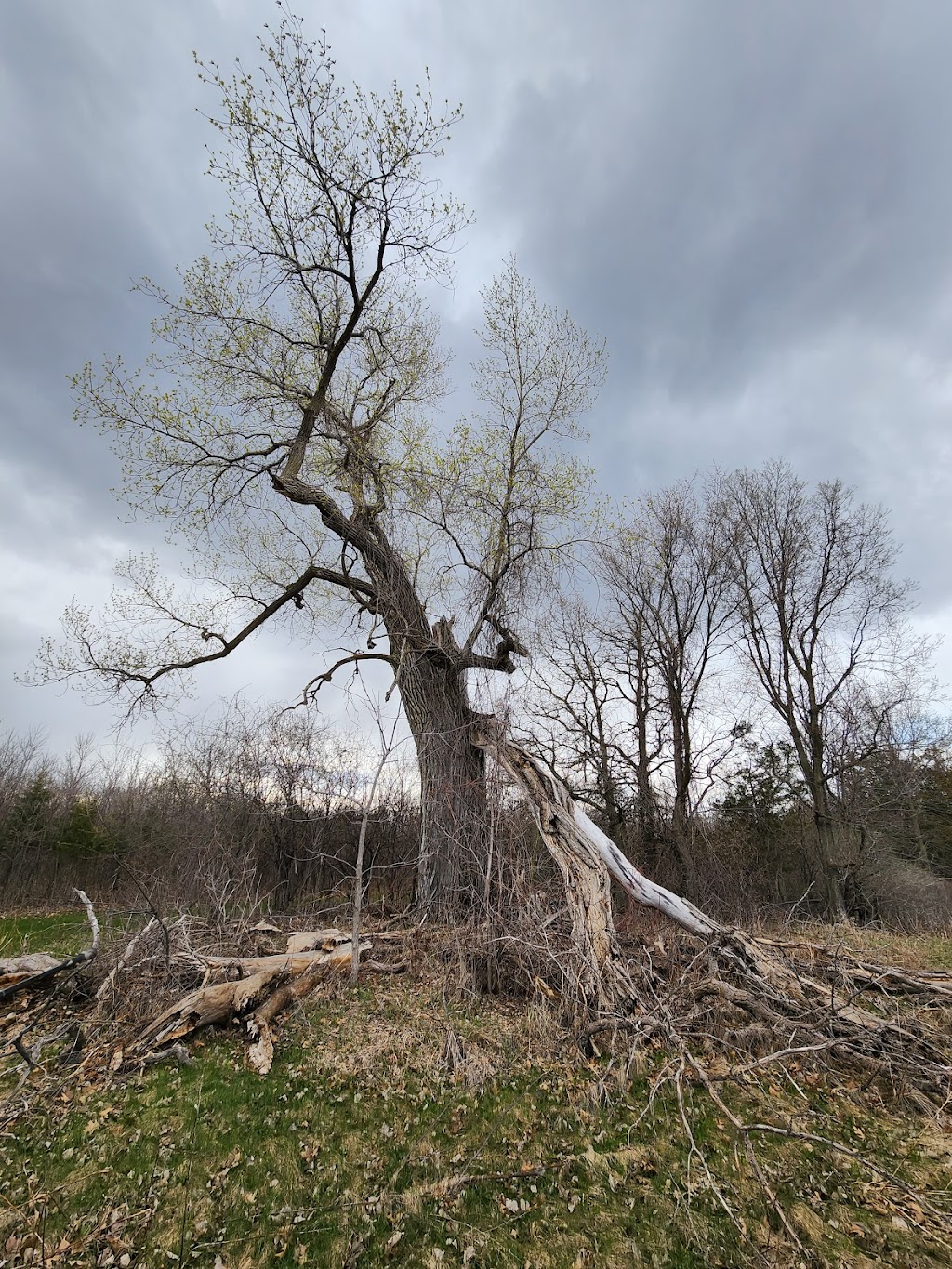 Ney Nature Center | 28238 Nature Center Ln, Henderson, MN 56044, USA | Phone: (507) 357-8580