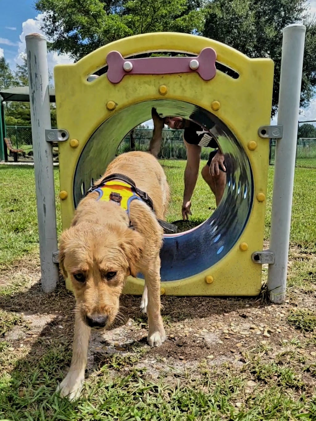 Greenbrook Adventure Dog Park | 13010 Adventure PI, Bradenton, FL 34202, USA | Phone: (941) 907-0202