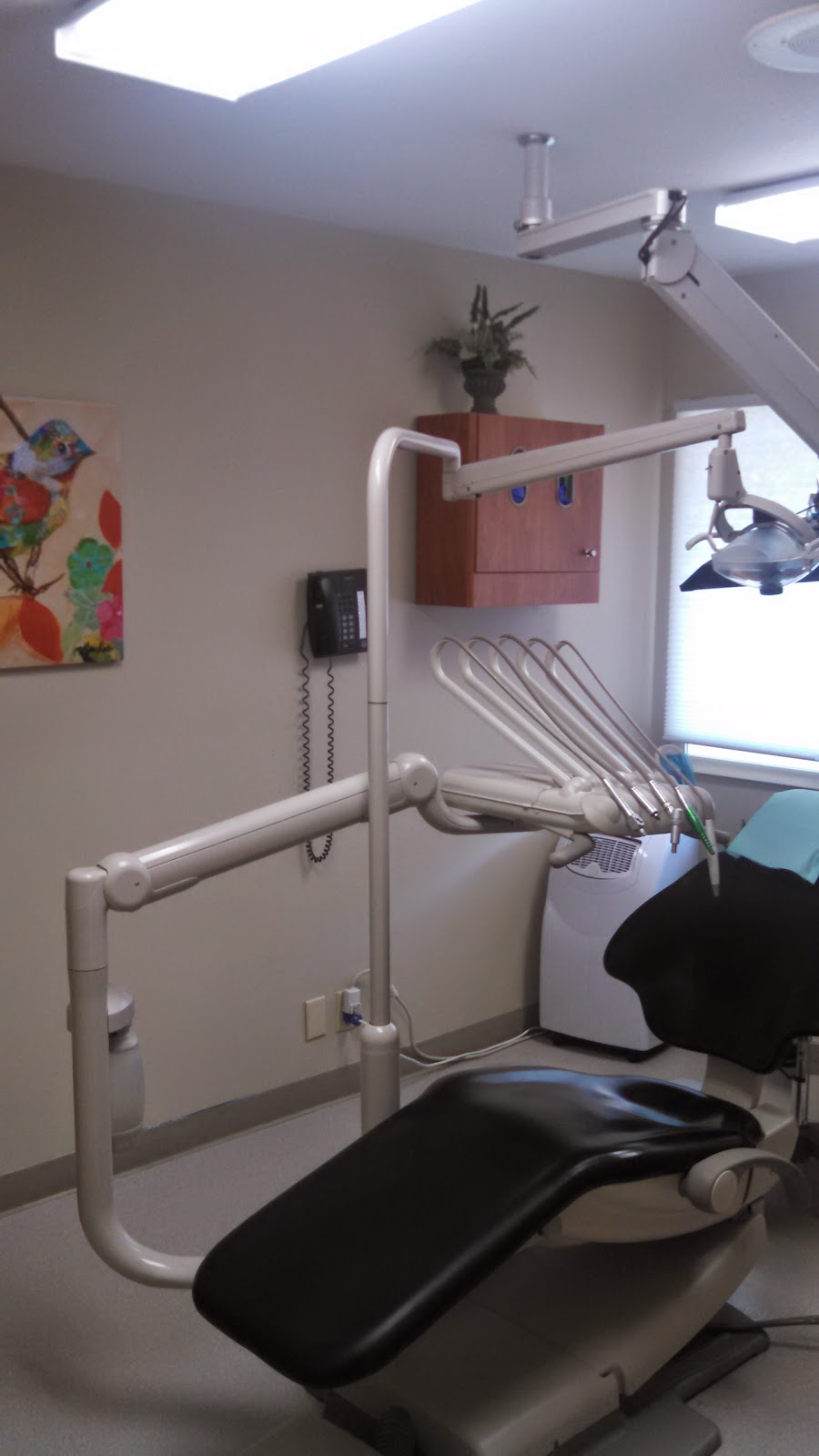 Parkville Pediatric Dentistry | 6004 N, MO-9, Parkville, MO 64152, USA | Phone: (816) 746-5437