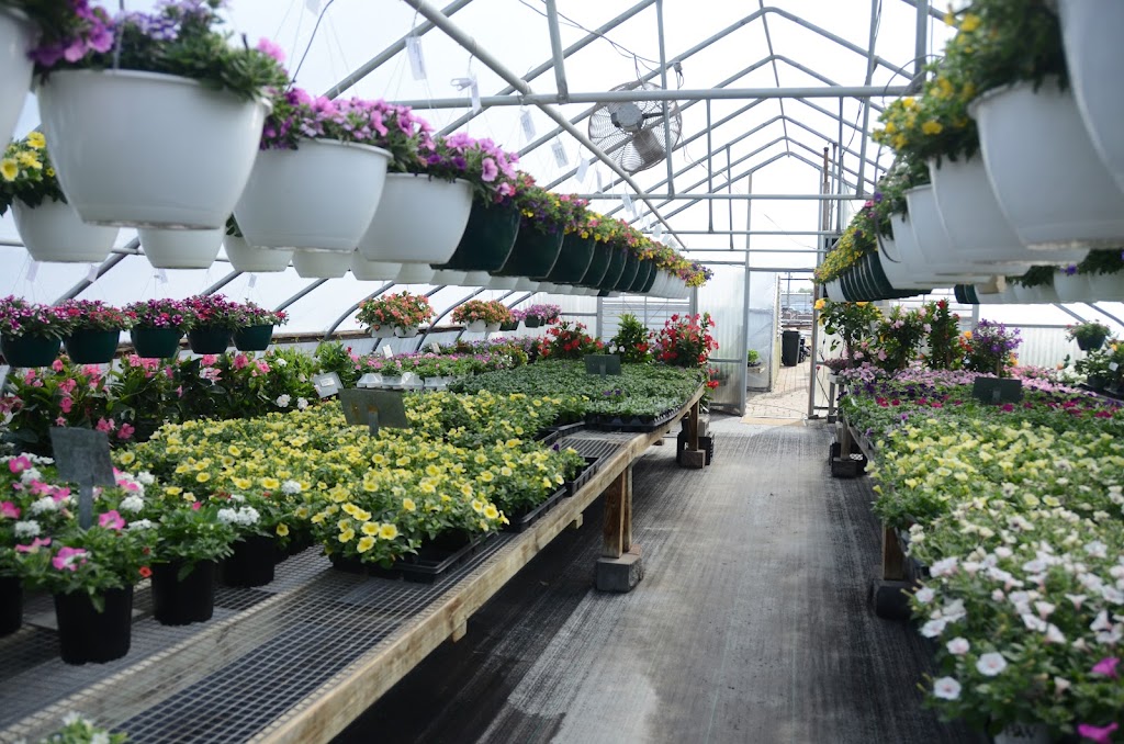 Kahls Greenhouse | 520 W Main St, Carlinville, IL 62626, USA | Phone: (217) 854-8912