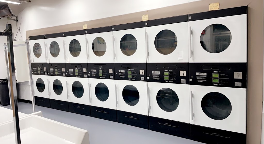 Wash & Dry Coin Laundry | 26978 Plymouth Rd, Redford Charter Twp, MI 48239, USA | Phone: (313) 952-2132