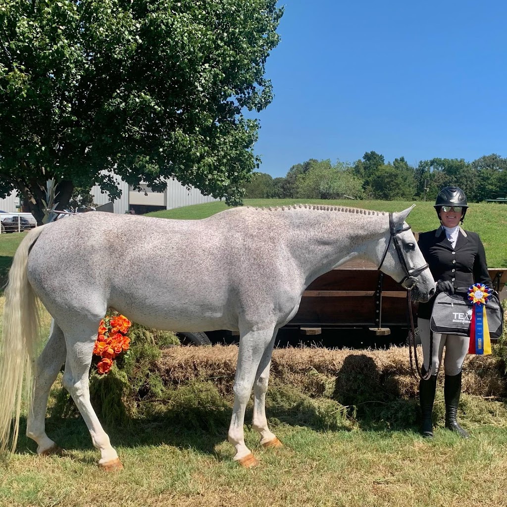 Lancaster Hill Stables | 8696 Co Rd 133, Celina, TX 75009, USA | Phone: (719) 353-7850