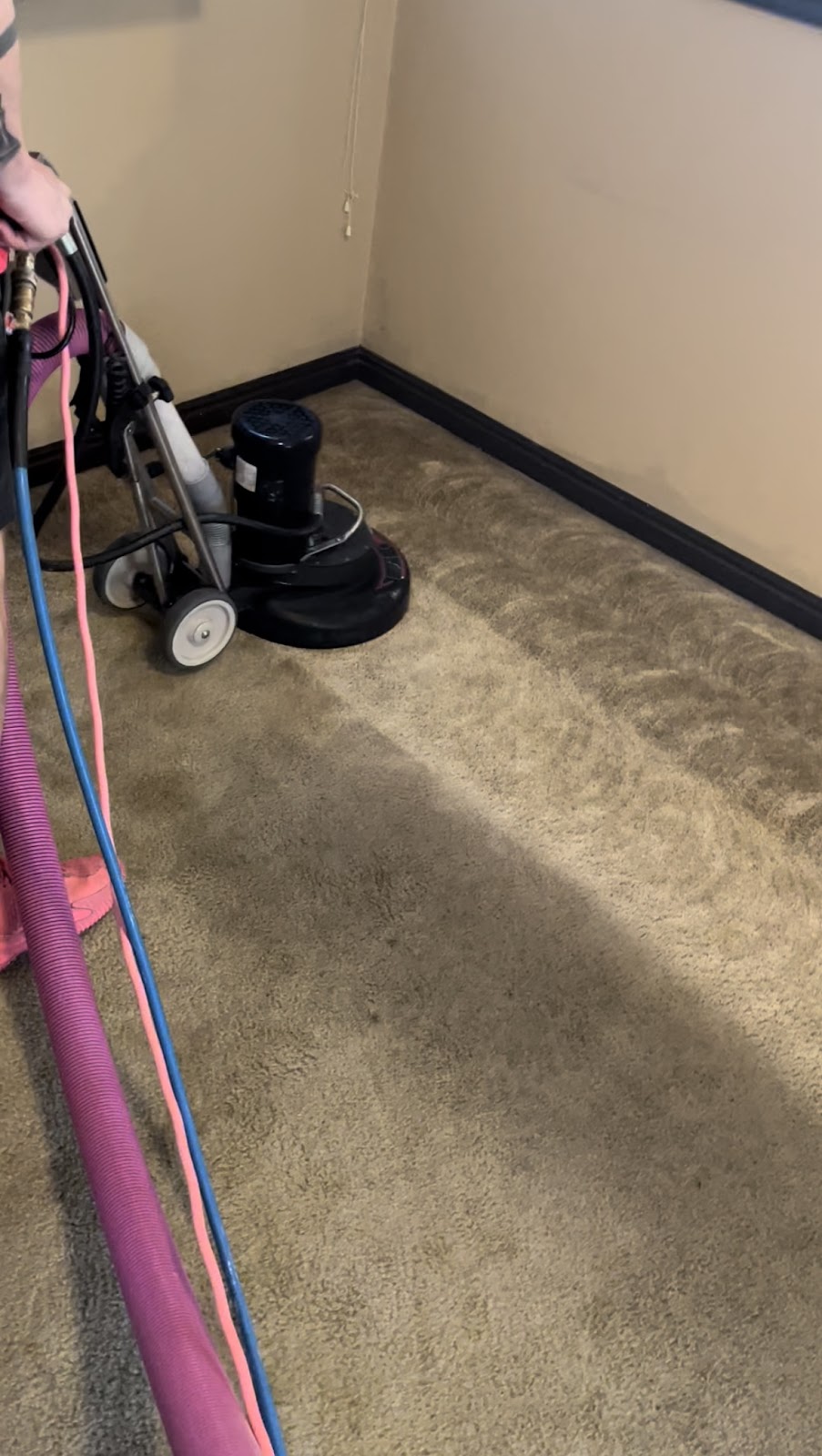 Pinks Carpet Cleaning | 3904 E Sourwood Dr, Gilbert, AZ 85298, USA | Phone: (480) 904-6776