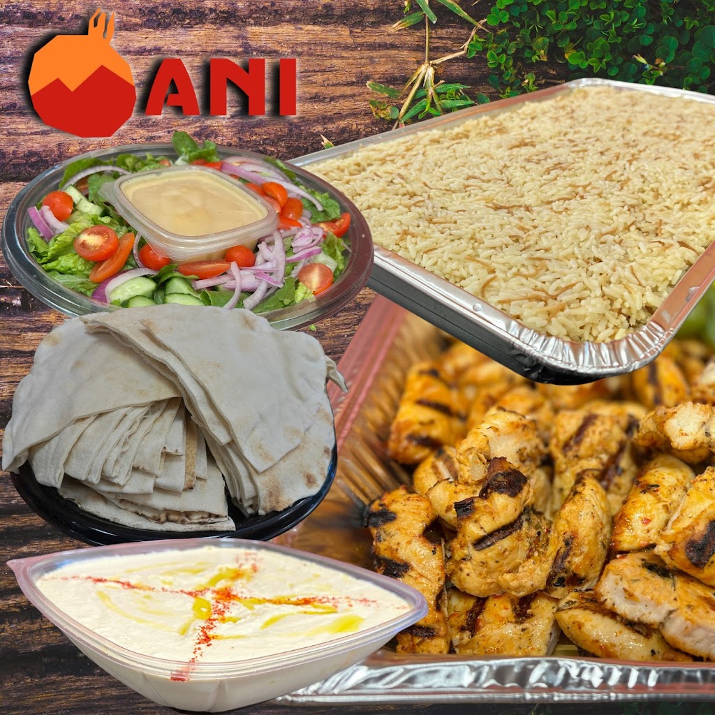 Ani Catering & Cafe | 687 Belmont St, Belmont, MA 02478, USA | Phone: (617) 484-6161