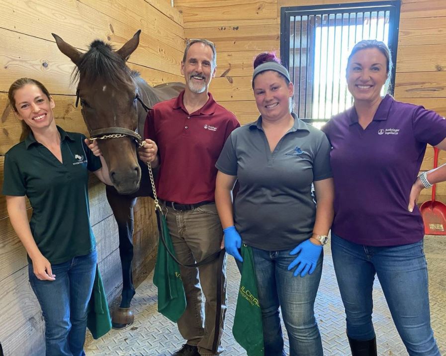 Windmiller Equine Veterinary Services | 788 Delong St, Pickerington, OH 43147, USA | Phone: (614) 695-5225