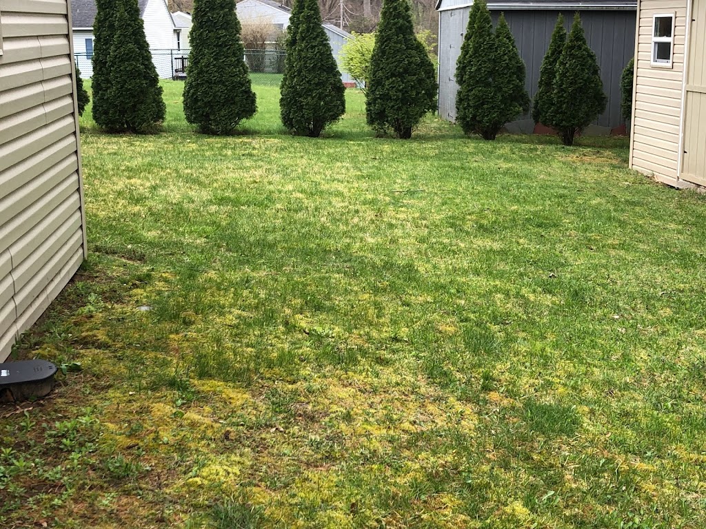 JOB Lawn Care and Mobile Detailing, LLC | 64 Emmet St, Albany, NY 12204 | Phone: (518) 212-9751