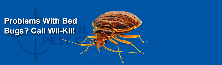 Wil-Kil Pest Control | 2803 Capitol Dr #3, Sun Prairie, WI 53590 | Phone: (608) 825-1000