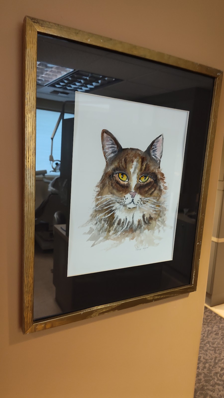 Dr. Alan M. Munk, DDS | 7723 24th Ave NW, Seattle, WA 98117, USA | Phone: (206) 782-3060