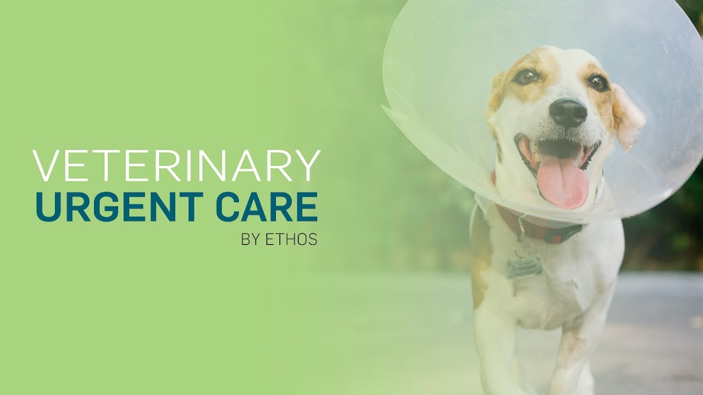 Veterinary Urgent Care - Irvine | 5665 Alton Pkwy, Irvine, CA 92618, USA | Phone: (949) 562-7771
