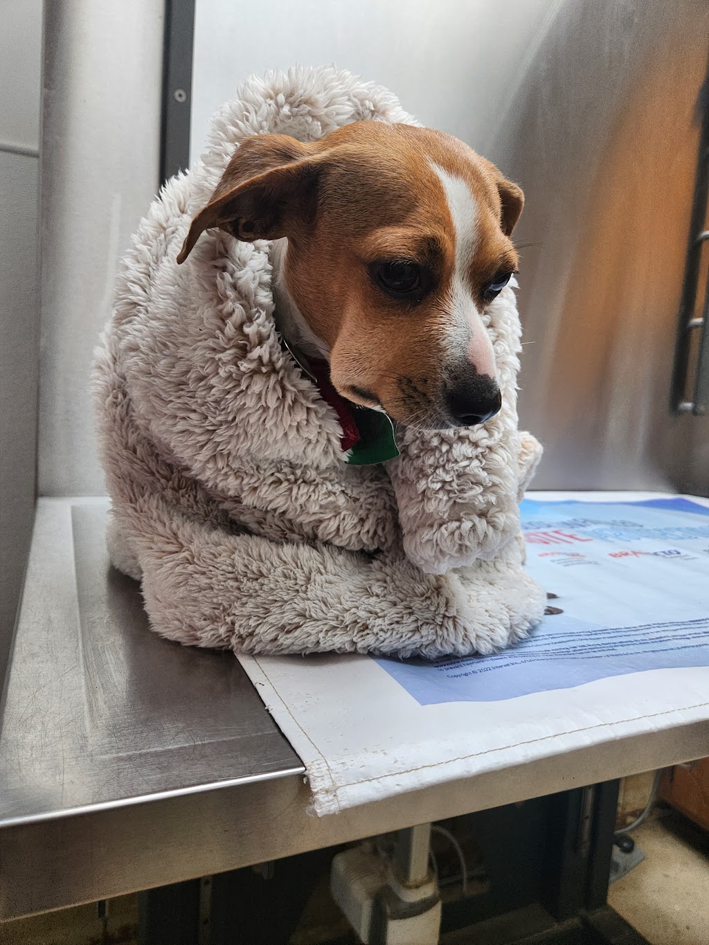 Wills Point Veterinary Clinic | 1209 W Park Dr, Wills Point, TX 75169, USA | Phone: (903) 873-9132