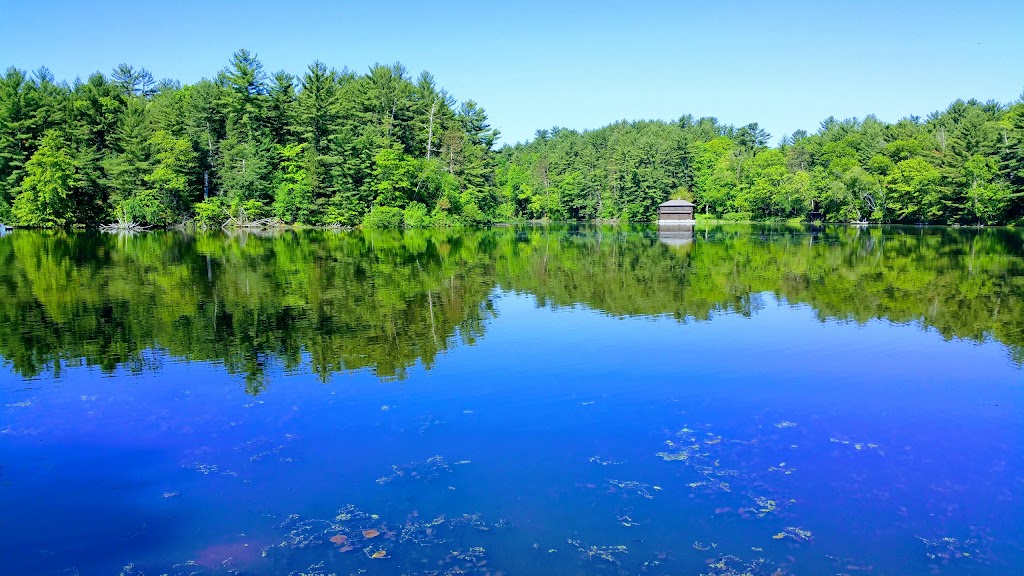 Mirror Lake Pine Oak Forest State Natural Area | Wisconsin Dells, WI 53965, USA | Phone: (608) 266-0394