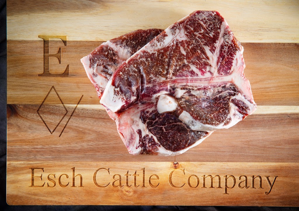 Esch Cattle Company | 717 N 22nd Rd, Unadilla, NE 68454, USA | Phone: (402) 269-5845