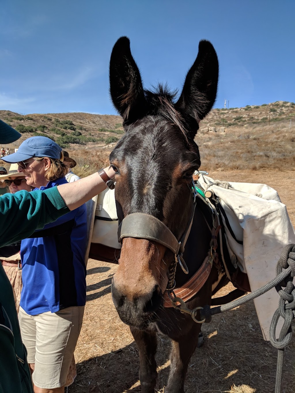 San Diego Archaeological Center | 16666 San Pasqual Valley Rd, Escondido, CA 92027, USA | Phone: (760) 291-0370