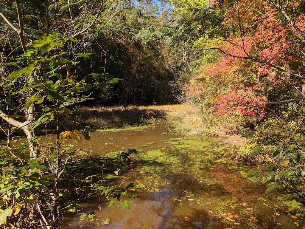 Reynolds Nature Preserve | 5665 Reynolds Rd, Morrow, GA 30260, USA | Phone: (770) 603-4188