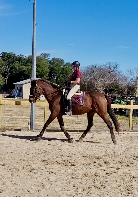 Victory Stables Equestrian Academy | 6640 FM 621, Martindale, TX 78655, USA | Phone: (512) 667-3446