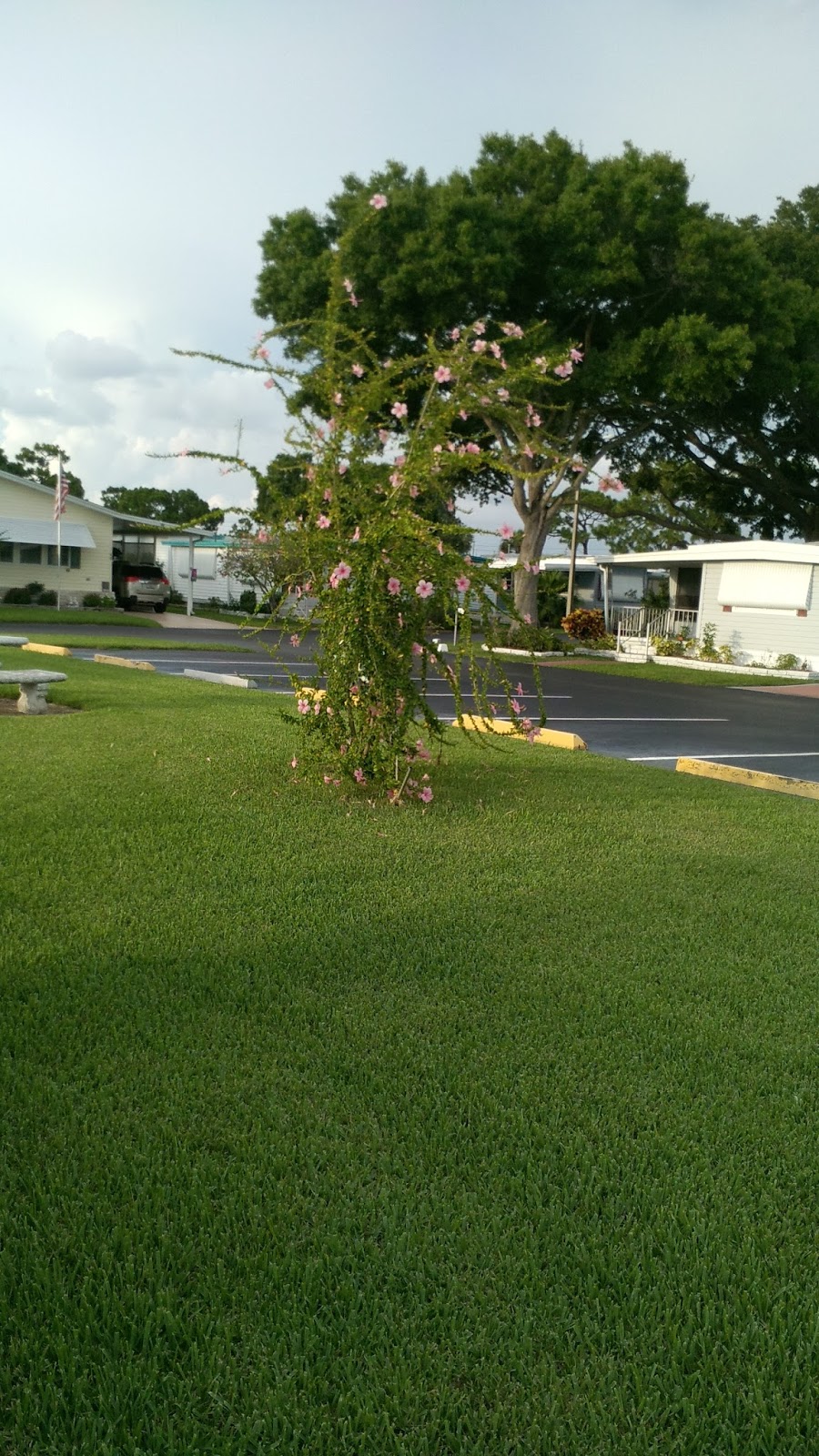 Club Chalet Mobile Home Park Resident owned | 7880 54th Ave N, St. Petersburg, FL 33709, USA | Phone: (727) 546-1926