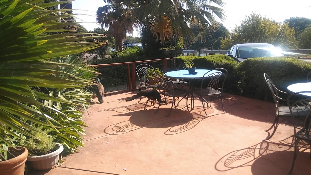 Ryde Hotel | 14340 CA-160, Walnut Grove, CA 95690, USA | Phone: (916) 776-1318