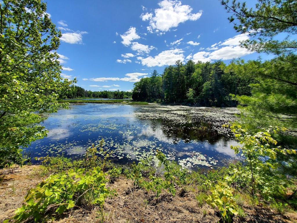 Windham Rail Trail | 7 Depot Rd, Windham, NH 03087, USA | Phone: (603) 434-0806