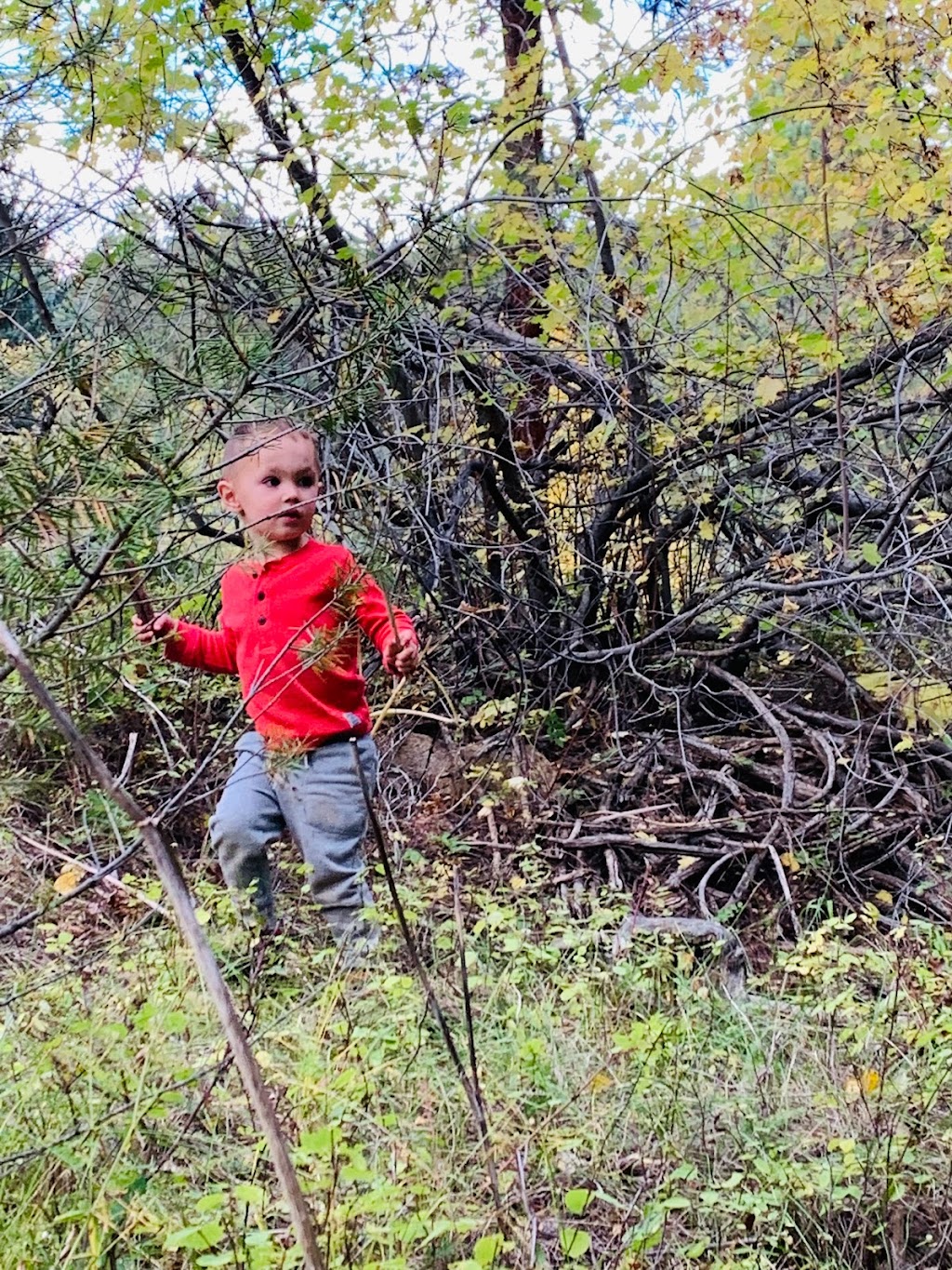 Little Feet Forest School | 7179 Ponderosa Ct, Evergreen, CO 80439, USA | Phone: (303) 358-8200