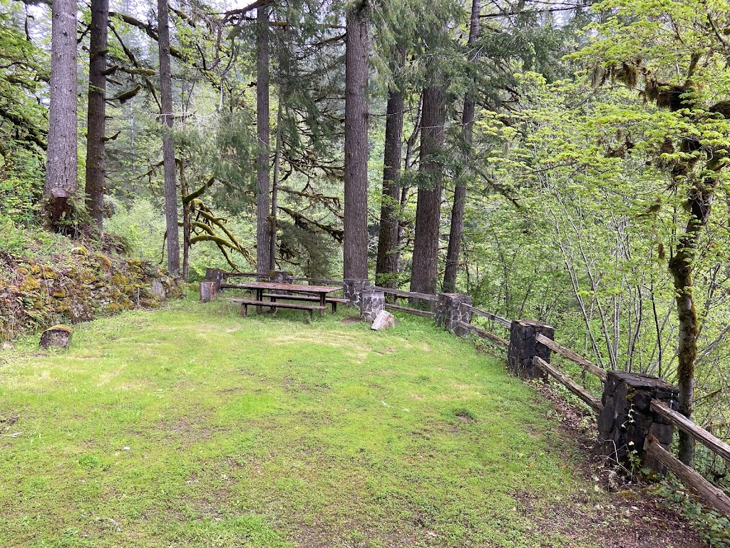 Eagle Fern Camp | 37700 SE Camp Rd, Estacada, OR 97023, USA | Phone: (503) 630-4978