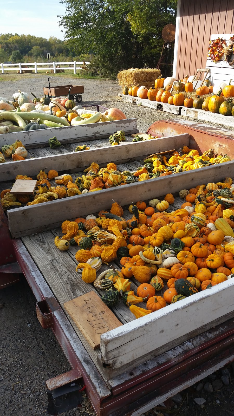 Pinecrest Tree Farm | 503 S Walnut St, Blue Springs, NE 68318, USA | Phone: (402) 645-3010