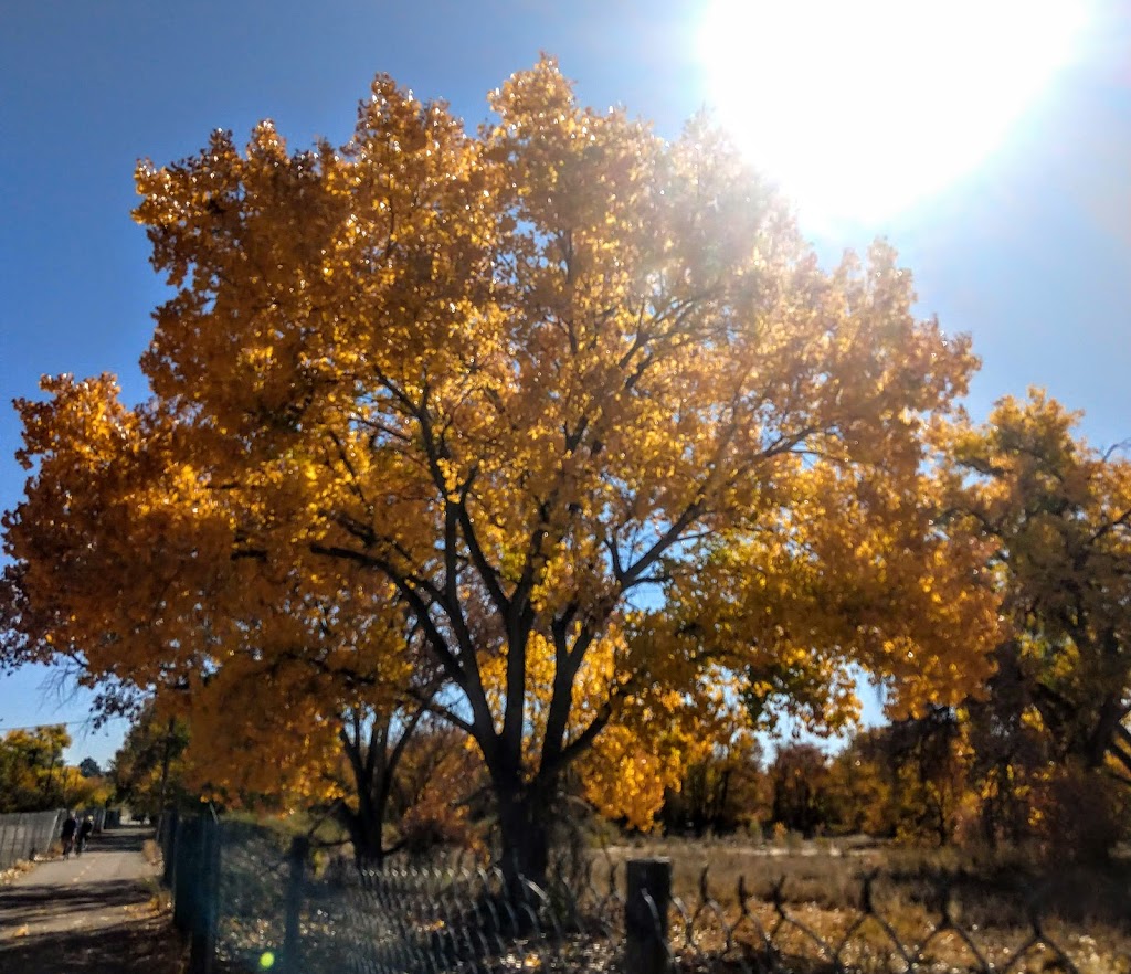 Rio Grande Nature Center State Park 2901 Candelaria Rd Nw Albuquerque Nm Usa