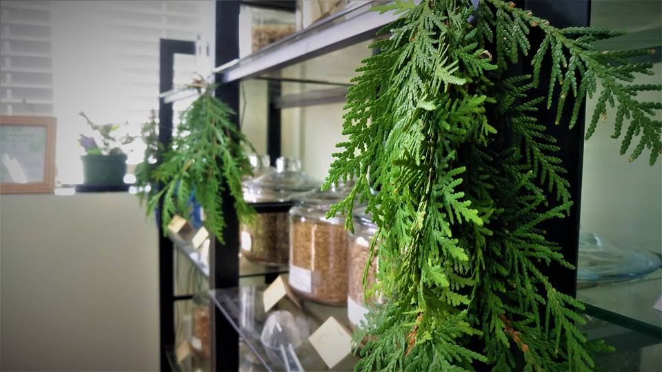 Niagara Medicinal Herbs | 1874 Unit#1, RR 20, Fonthill, ON L0S 1E6, Canada | Phone: (905) 892-1926