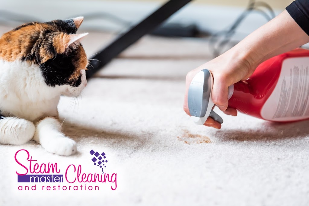 Steam Master Cleaning and Restoration | 495 Angel Dr, Lakehills, TX 78063, USA | Phone: (830) 751-2300