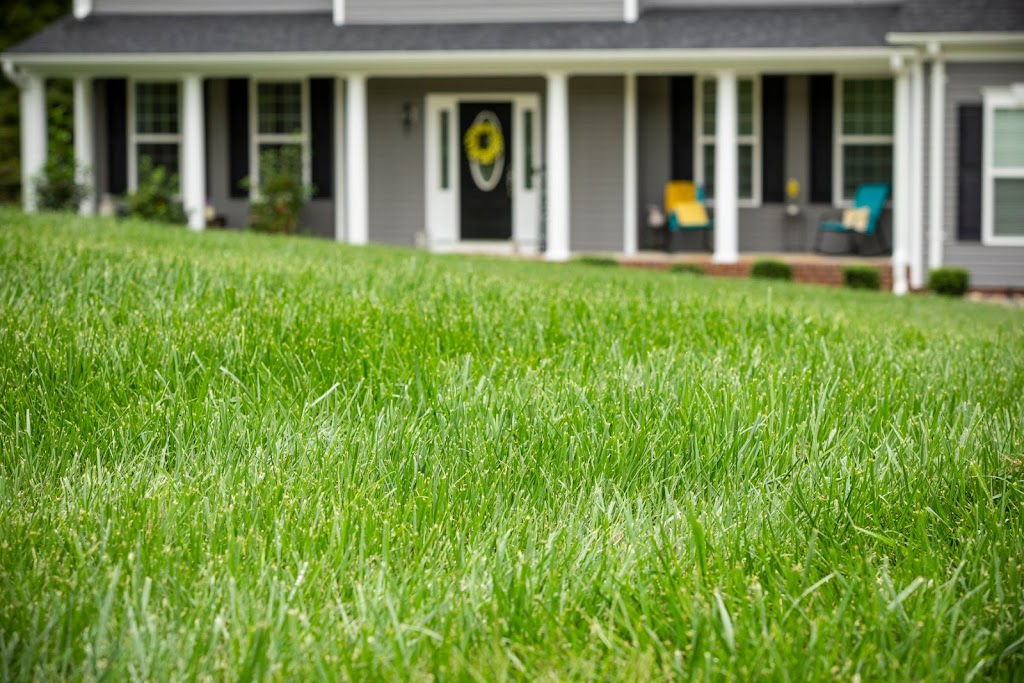 Natural Green Systems Lawn and Pest | 2155 Solomons Island Rd S, Prince Frederick, MD 20678, USA | Phone: (443) 432-3882