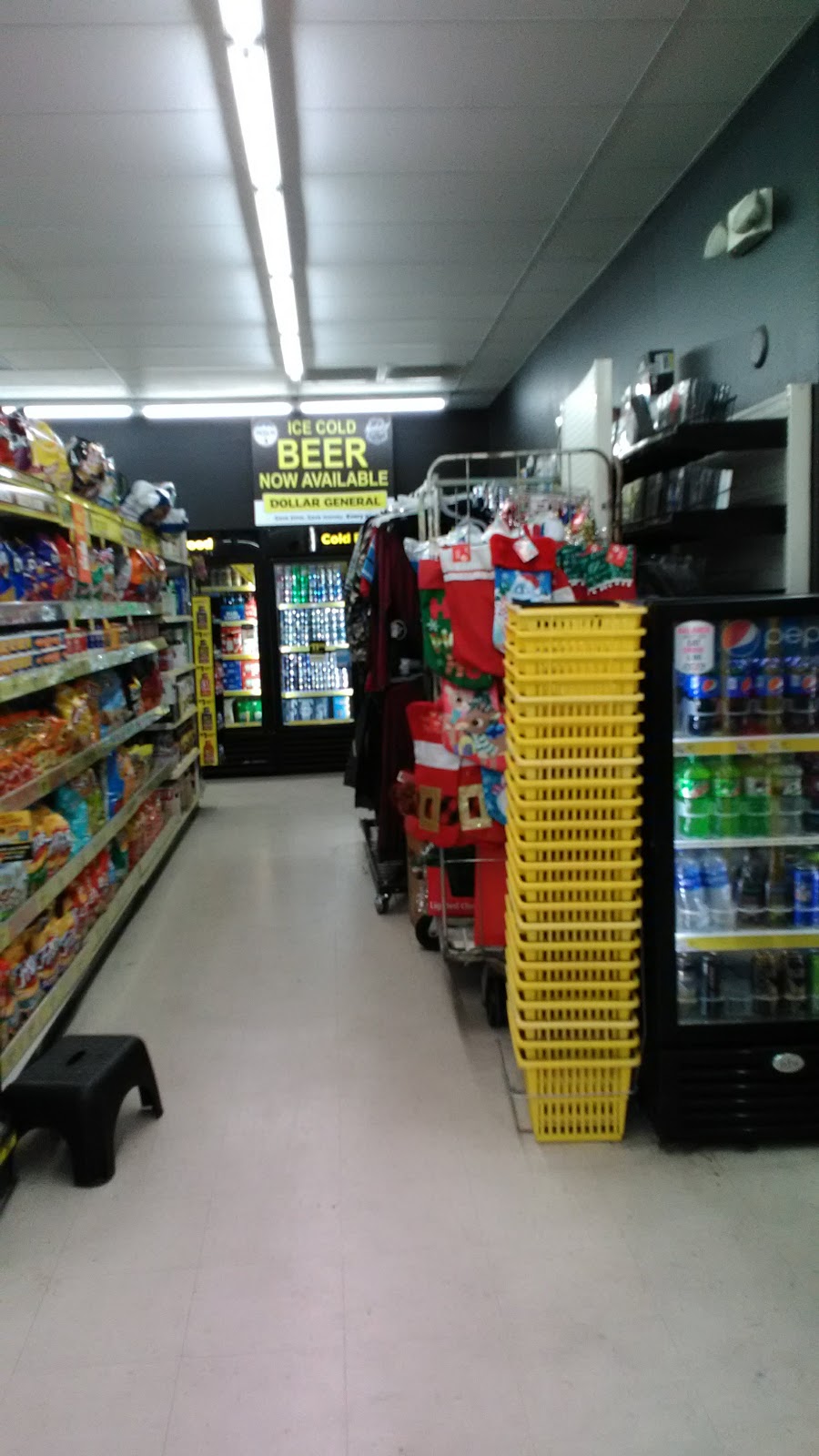 Dollar General | 26609 Wesley Chapel Blvd, Lutz, FL 33559, USA | Phone: (813) 461-6270