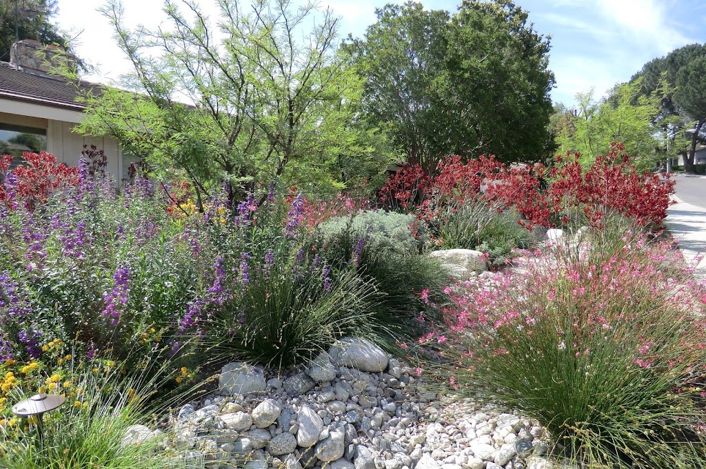 Mary Wattis Brown Garden of California Native Plants | Davis, CA 95616, USA | Phone: (530) 752-4880