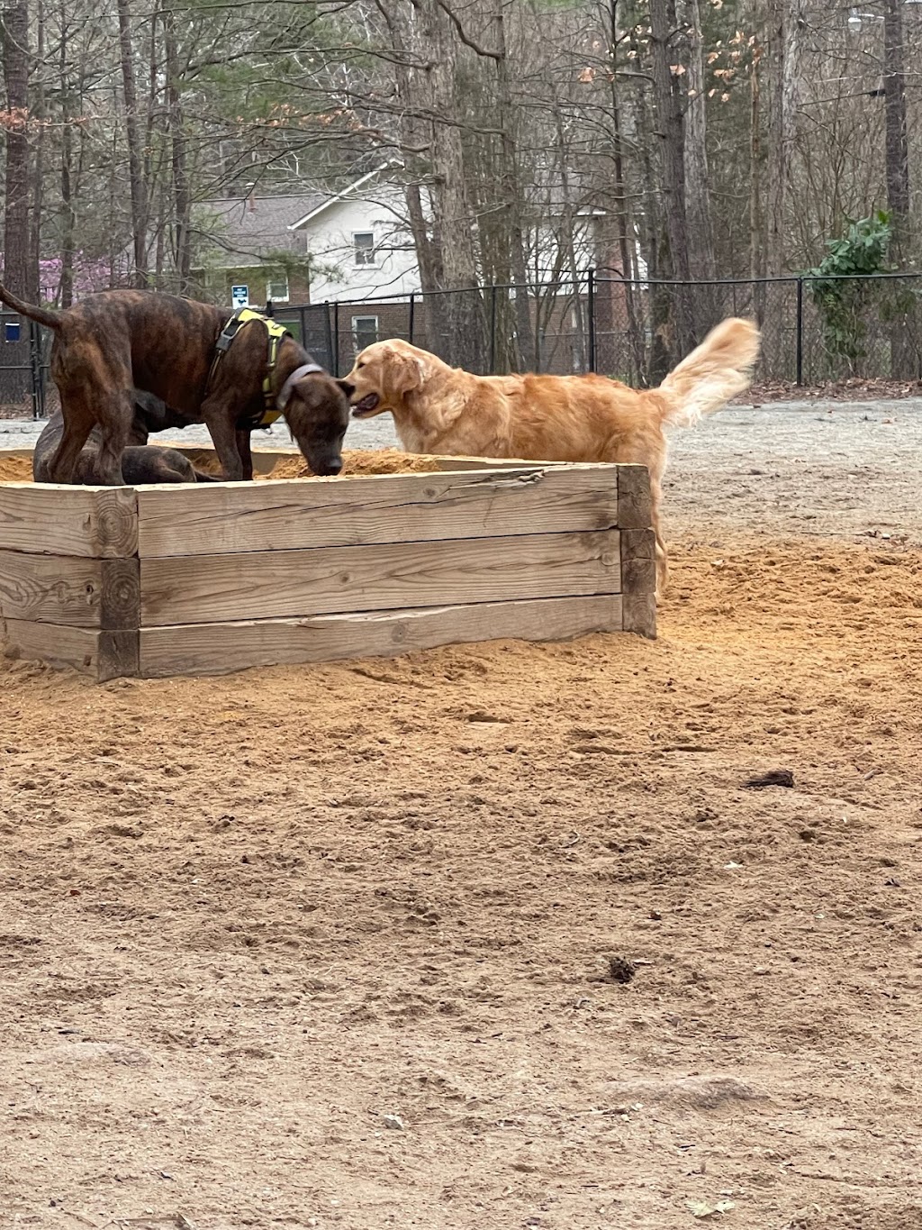 Piney Wood Dog Park | 400 E Woodcroft Pkwy, Durham, NC 27713, USA | Phone: (919) 560-4355 ext. 27261