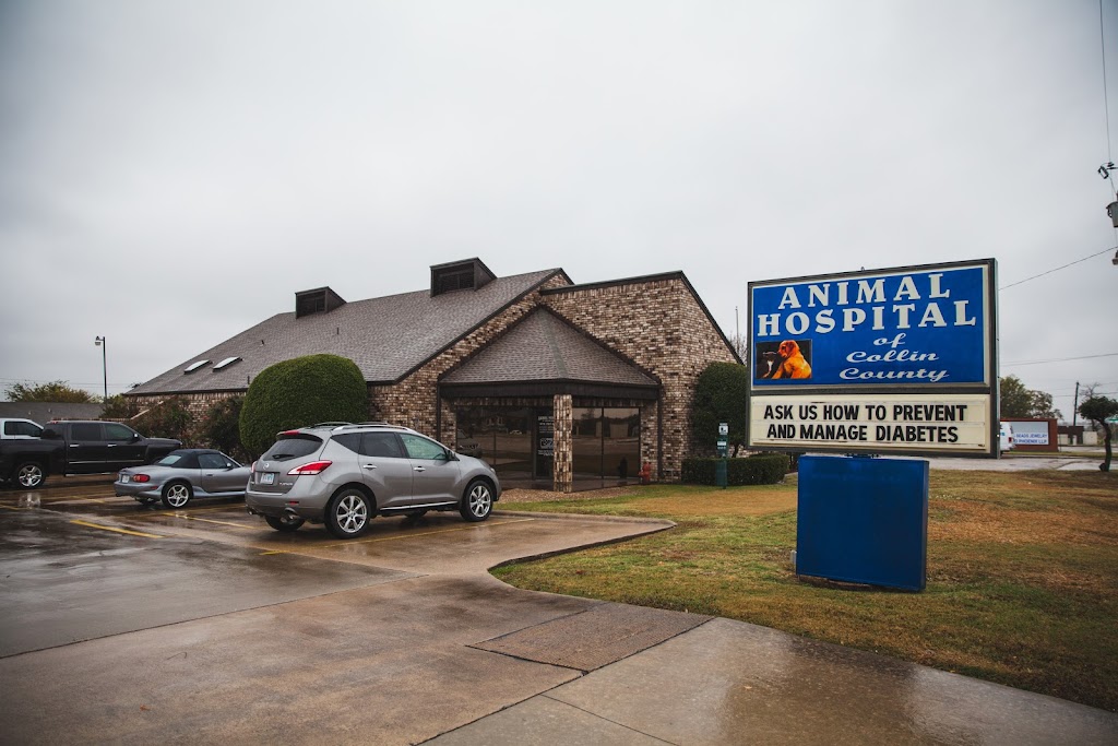 Animal Hospital of Collin County | 1021 S Greenville Ave, Allen, TX 75002, USA | Phone: (972) 727-5748