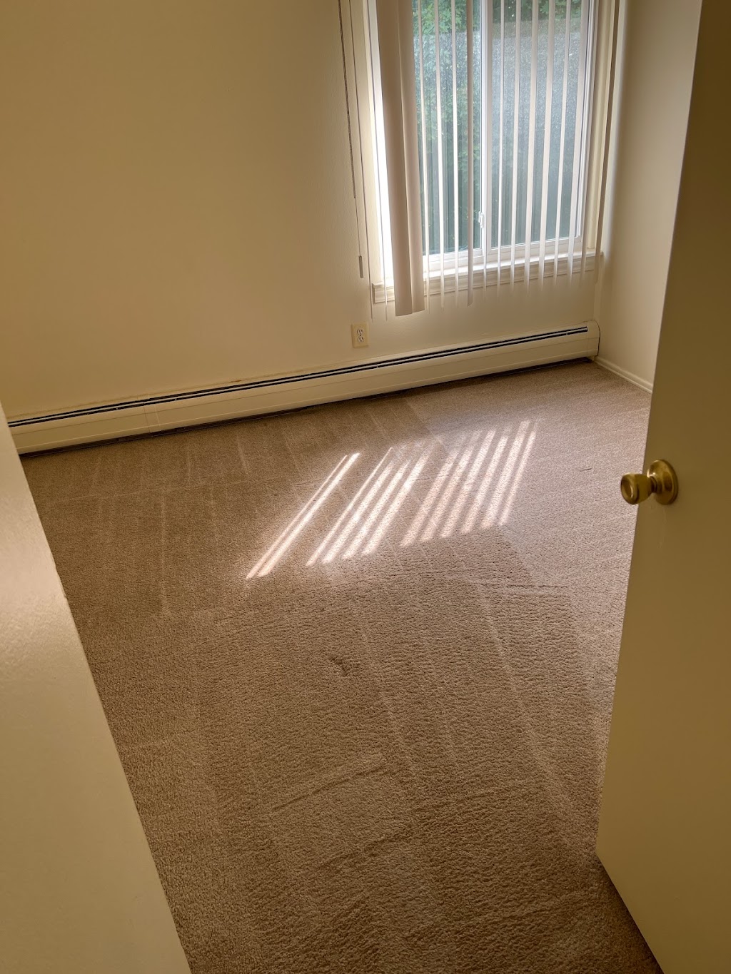 EVER/READY Carpet Cleaning | 267 E Hamlin Rd, Rochester Hills, MI 48307, USA | Phone: (248) 587-7331