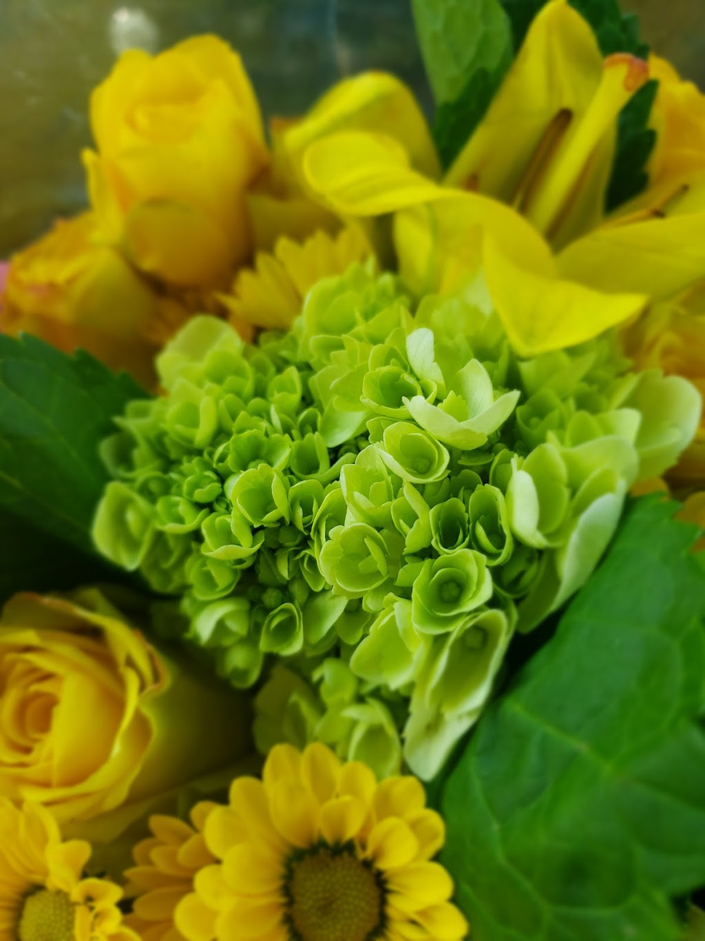 Kroger Floral Department | 4400 Lebanon Pike, Hermitage, TN 37076 | Phone: (615) 883-3317