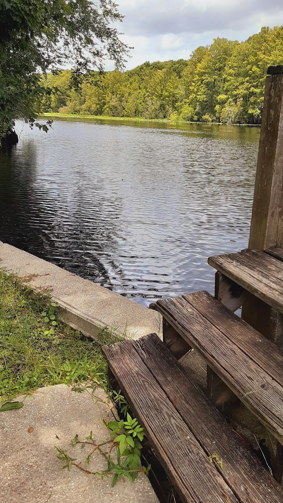 55+ Wynnhaven on the Withlacoochee LLC | 8271 W C 48, Bushnell, FL 33513, USA | Phone: (352) 793-4744