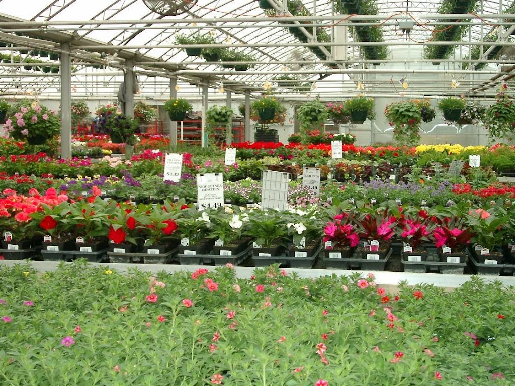 Malmborgs Garden Center | 20045 County Rd 81, Rogers, MN 55311, USA | Phone: (763) 428-2061