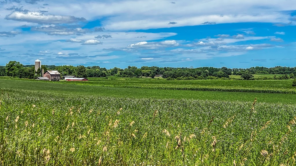 Rocky Run Oak Savanna | Highway 22 Phillips Rd, Pardeeville, WI 53954, USA | Phone: (888) 936-7463