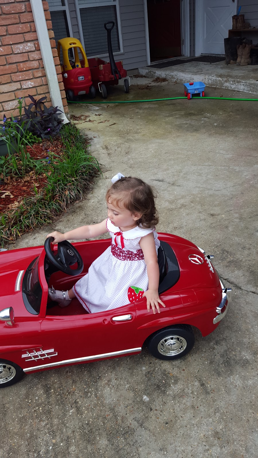 Patrick Lanier DVM | 43244 Crouse Dr, Hammond, LA 70403, USA | Phone: (985) 345-0225