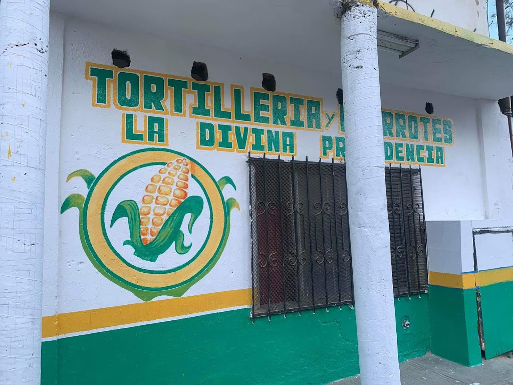 Tortilleria la divina providencia | Francisco I. Madero 307, Anexa Divina Providencia, 22525 Tijuana, B.C., Mexico | Phone: 664 240 8219