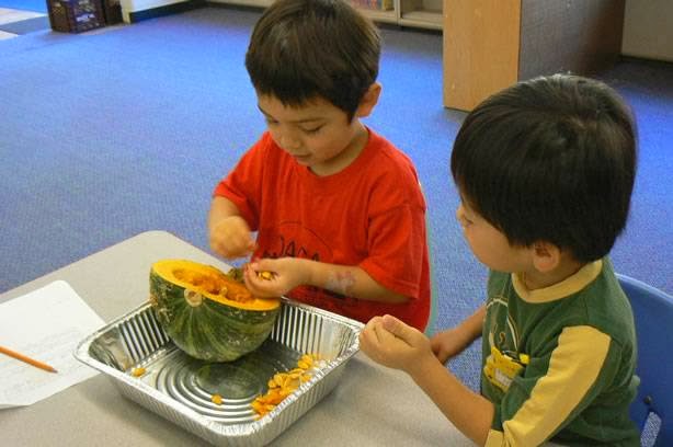 Himawari Preschool | 36611 Curtis Rd, Livonia, MI 48152, USA | Phone: (734) 266-0611